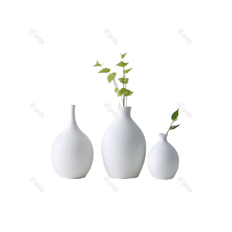 菊花图片,摄影元素,白色背景PNG,灰色背景免抠素材